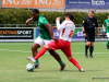 RODA23ZwaluwZo-20250518-148